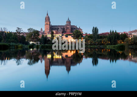 Nachtansicht von Salamanca Alte und Neue Kathedrale von Enrique Esteban Brücke über den Fluss Tormes, Gemeinschaft Kastilien und Leon, Spanien. Stockfoto