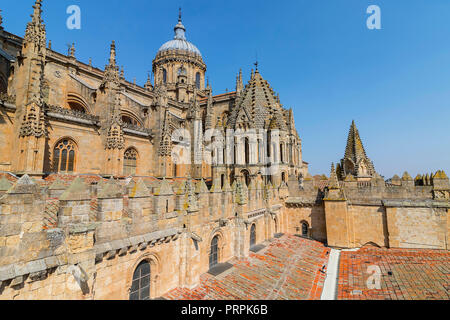 Blick auf die obere Seite des Salamanca Alte und Neue Kathedrale, Gemeinschaft Kastilien und LeÃ³n, Spanien. Von der UNESCO zum Weltkulturerbe erklärte im Jahr 1988 Stockfoto