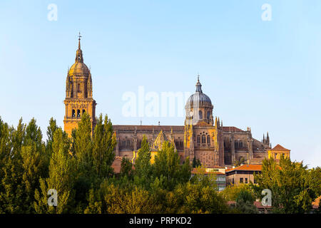 Salamanca Alte und Neue Kathedrale am Fluss Tormes bei Sonnenuntergang, Gemeinschaft Kastilien und León, Spanien. Von der UNESCO zum Weltkulturerbe erklärt in Stockfoto