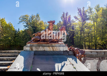 San Ildefonso, Segovia, Spanien - 10. Oktober 2017: Gärten der königlichen Palast von La Granja de San Ildefonso, bekannt als La Granja, mit der Statue aus Bronze Stockfoto