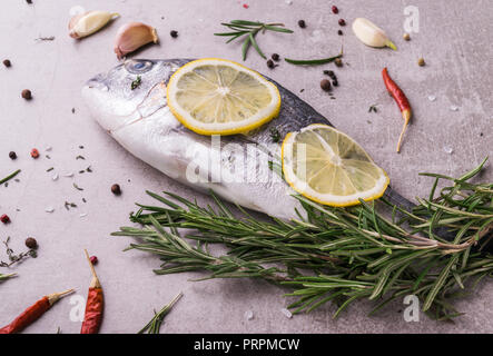 Frische dorado Fisch. Dorado und Zutaten zum Kochen - Rosmarin, Gewürze, Zitrone, Knoblauch, Thymian, Kräuter. Kochen Konzept. Auf hellen Stein Hintergrund. Stockfoto