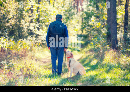 Ein Mann mit Labrador Retriever Hund wandern im Kiefernwald im Herbst. Der Mann hält den Hund an der Leine Stockfoto