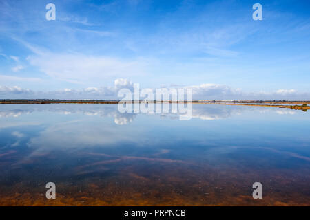 Die schöne Landschaft der Vogelwarte mit Wasser Reflexionen im Naturschutzgebiet namens 'Marismas del Odiel" in Huelva, Andalusien, Spanien. Stockfoto