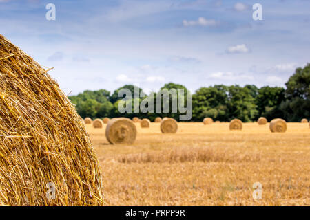 Landschaftsaufnahme zur Erfassung der Erntezeit – runde Heuballen, Stroh im britischen Feld. Detaillierte Nahaufnahme des Ballenabschnitts im Vordergrund. Stockfoto