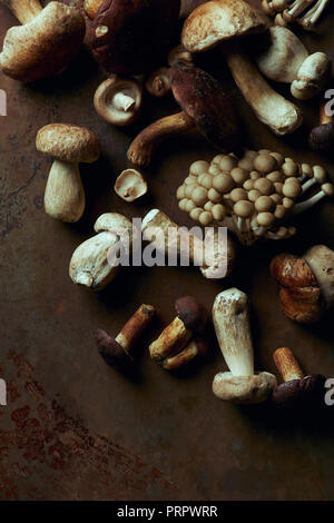 Blick von oben auf die verschiedenen raw essbare Pilze auf dunklen grunge Hintergrund Stockfoto