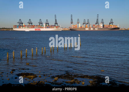 Zwei große Container Schiffe im Hafen von Felixstowe in Suffolk. Stockfoto