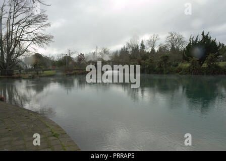 Ein geothermisch beheizter See in Kuirau Park, Rotorua, Nordinsel, Neuseeland Stockfoto