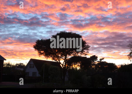 Sonnenaufgang über Hamilton in Waikato, Nordinsel, Neuseeland Stockfoto