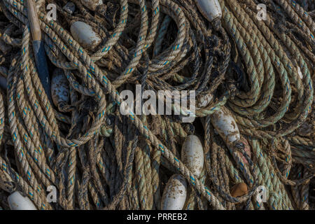 Fischernetze und Seilen gewunden bis in einen Heap mit Fischen schwimmt, Stockfoto