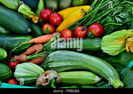 Trug gefüllt mit frisch gepflückten Gemüse Stockfoto