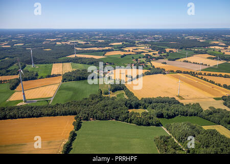 Korn Felder und Wiesen, Übersicht, in der Nähe von Ostbevern, Münsterland, Nordrhein-Westfalen, Deutschland Stockfoto