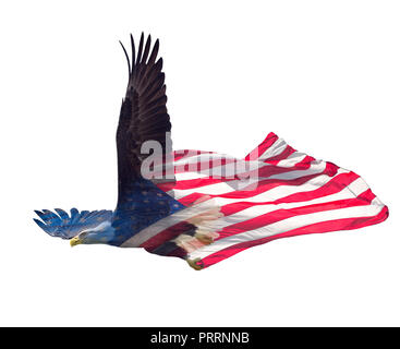 Double Exposure Effekt der nordamerikanischen Weißkopfseeadler auf der amerikanischen Flagge. Stockfoto