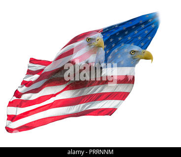 Double Exposure Effekt der nordamerikanischen Weißkopfseeadler auf der amerikanischen Flagge. Stockfoto