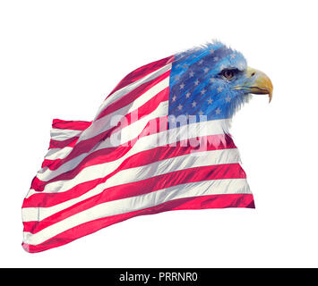 Double Exposure Effekt der nordamerikanischen Weißkopfseeadler auf der amerikanischen Flagge. Stockfoto