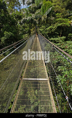 Hängebrücke in der mistico Arenal Cloud Forest in Costa Rica Stockfoto