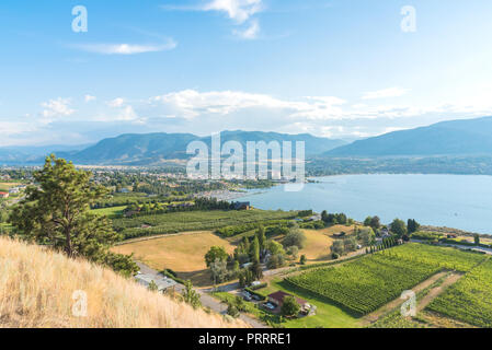 Sicht von oben mit Obstgärten und Weinbergen mit Okanagan See und die Stadt Penticton im Sommer Stockfoto