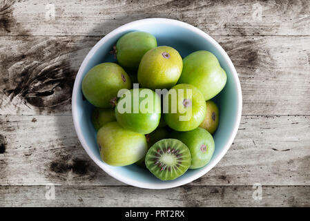 Hardy Kiwis oder kiwi Beeren in Keramik Schüssel auf dem Tisch Stockfoto