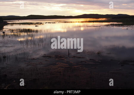 Ein Blick auf den Sonnenuntergang über einem kleinen Loch in der Nähe von achnahaird Beach, Schottland mit Vordergrund Wasser Pflanzen Stockfoto