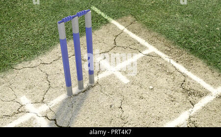 Eine Reihe von Blue cricket Wickets, die auf eine gerissene Rasenplatz Hintergrund - 3D-Rendering Stockfoto