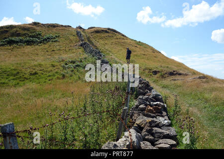 Einsame Mann Wanderer vorbei Trockenmauer auf der Insel Anglesey Coastal Path in der Nähe des Fischerdorf Cemaes, Wales, UK. Stockfoto