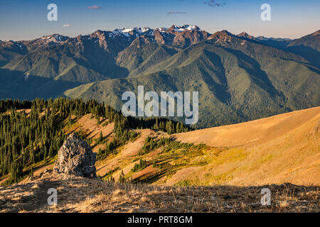 Mount Carrie (Mitte), den Olymp (links), Mitte September von Hurricane Ridge, Olympic National Park, Washington State, USA Stockfoto