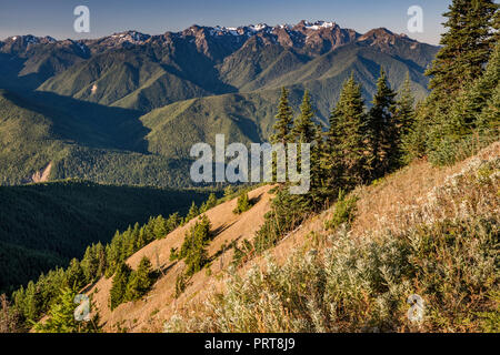 Mount Carrie (Mitte), den Olymp (links), Mitte September von Hurricane Ridge, Olympic National Park, Washington State, USA Stockfoto