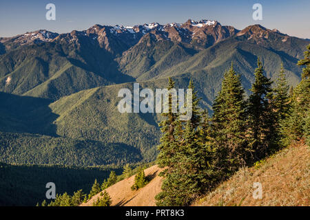 Mount Carrie (Mitte), den Olymp (links), Mitte September von Hurricane Ridge, Olympic National Park, Washington State, USA Stockfoto