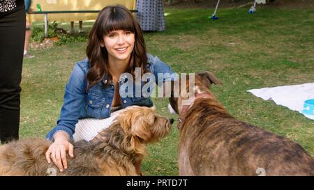 Original Filmtitel: Ich liebe Hunde. Englischer Titel: Ich liebe Hunde. Jahr: 2018. Regie: Ken MARINO. Stars: NINA DOBREV. Credit: LD UNTERHALTUNG/Album Stockfoto