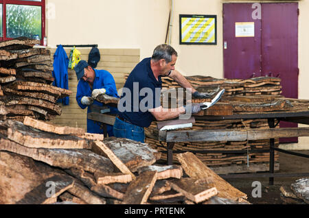 Rinde der Korkeiche (Quercus suber) wird manuell für die weitere Verarbeitung Schneiden, Cork factory Nova Cortica, Sao Bras de Alportel, Algarve, Portugal Stockfoto