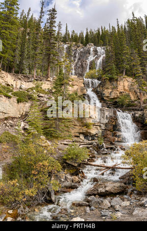 Gewirr fällt, Icefields Parkway, Alberta Stockfoto