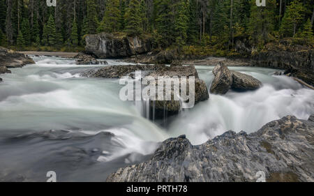 Kicking Horse River in der Nähe der natürlichen Brücke, Yoho National Park Stockfoto