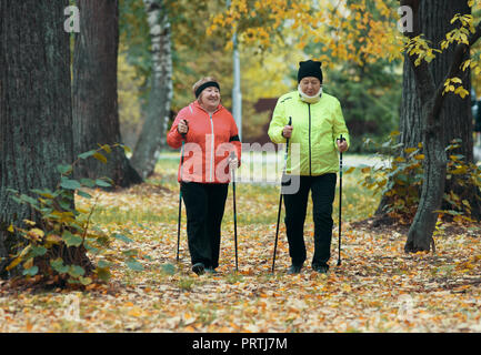 Reife Frauen gehen in einem Herbst Park während einer skandinavischen entfernt. Stockfoto