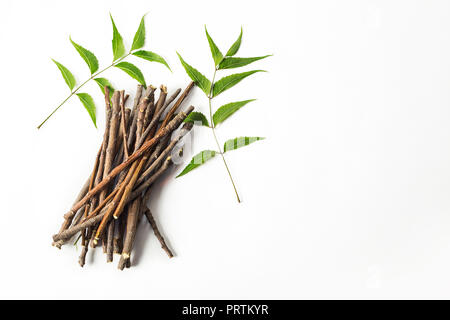 Neem Sticks und Neem Blätter. Weiß isoliert Hintergrund Stockfoto