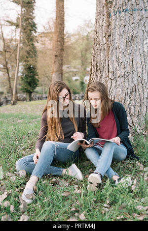 Freundinnen Buch in Park Stockfoto