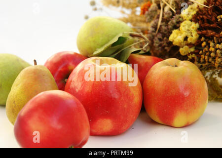 Zusammensetzung der Herbst rote Äpfel und Birnen auf einem weißen Hintergrund. Stockfoto
