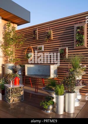 Auf dem Balkon wurden recycelte Möbel und Behälter gefüllt mit Sukkulenten und Kräutern, Insekten, Kaffeetisch im Hotel, Sempervivum Plant UK, umgewidmet Stockfoto