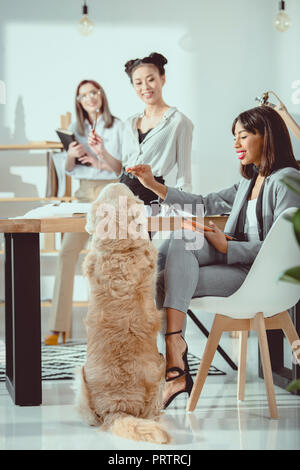 Jungen multiethnischen Frauen in formale Abnutzung arbeiten mit Hund im Büro Stockfoto