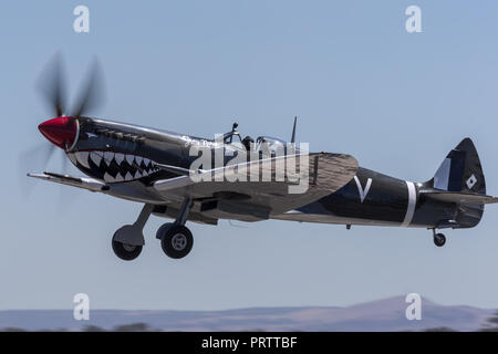 Supermarine Spitfire MK VIII VH-HET in der Royal Australian Air Force (RAAF) Markierungen durch die ihlienworth Aviation Museum betrieben. Stockfoto