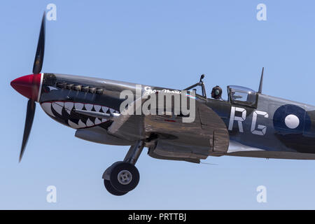 Supermarine Spitfire MK VIII VH-HET in der Royal Australian Air Force (RAAF) Markierungen durch die ihlienworth Aviation Museum betrieben. Stockfoto