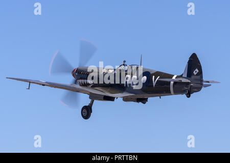 Supermarine Spitfire MK VIII VH-HET in der Royal Australian Air Force (RAAF) Markierungen durch die ihlienworth Aviation Museum betrieben. Stockfoto