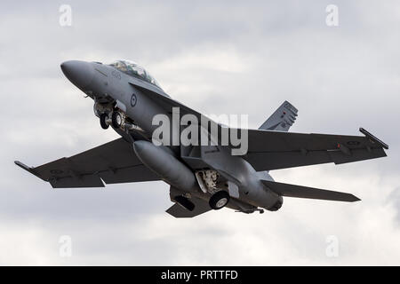Royal Australian Air Force (RAAF) Boeing F/A-18F Super Hornet multirole Fighter Aircraft ein 44-209 bei RAAF Amberley in Queensland. Stockfoto
