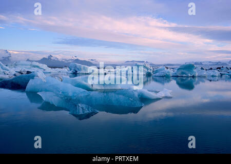 Eisberge, die in der Gletscherlagune bei Jokulsarlon im Süden schwimmen ostisland - Eisberglandschaft Stockfoto