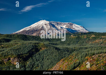 Mount St. Helens Vulkan, stripped Bäume noch in blast Zone nach dem Ausbruch im Jahre 1980, Mount St. Helens National Volcanic Monument, Washington, USA Stockfoto