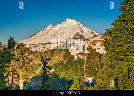 Mount Baker, Blick vom Artist Point, Mount Baker Wilderness, North Cascades, Washington State, USA Stockfoto