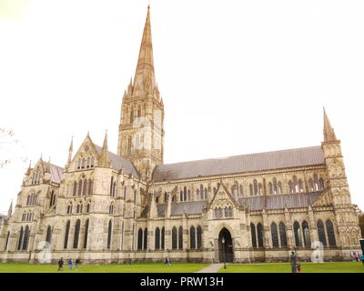 Cathedra Salisbury, Wiltshire, Großbritannien Stockfoto