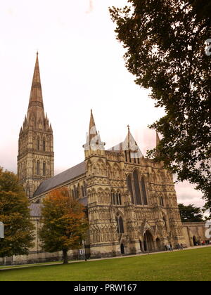 Cathedra Salisbury, Wiltshire, Großbritannien Stockfoto