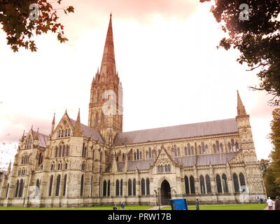 Cathedra Salisbury, Wiltshire, Großbritannien Stockfoto