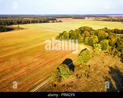 Maisernte im Herbst Antenne Top view Felder. Landwirtschaft Blick von oben. Herbst Wald und Felder mit der Vogelperspektive. Grosses Feld nach der Ernte aeri Stockfoto