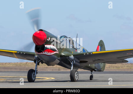 Curtiss P-40 N Kittyhawk Jagdflugzeug aus dem Zweiten Weltkrieg VH-ZOC darstellen. Stockfoto