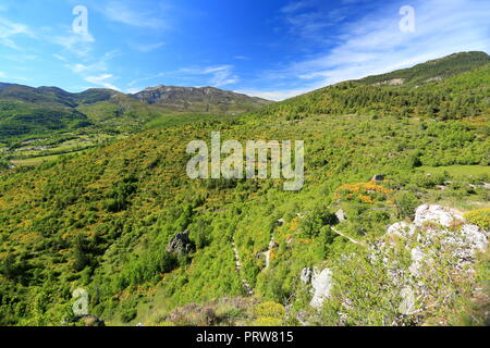 Landschaft der Parc naturel régional du Verdon, Var, 83, Provence, Provence-Alpes-Côte d'Azur, Stockfoto